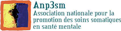 logo anp3sm